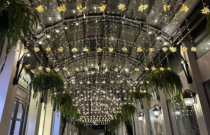 Navidad Pasaje Luces