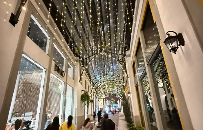 Navidad Pasaje Luces