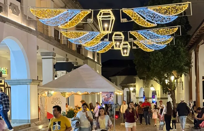 Navidad Cayalá Alas