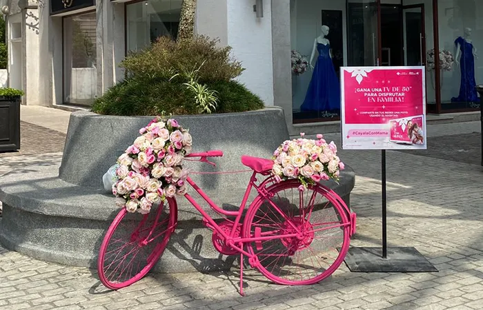 Día de La Madre Bicicleta
