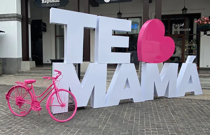 Día de La Madre Letras